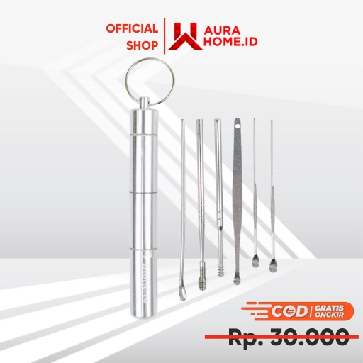 Set Pembersih Telinga Korek Kuping Ear Spoon Tool 6PCS / Korek Kuping Telinga Dewasa Anak Kecil Sten