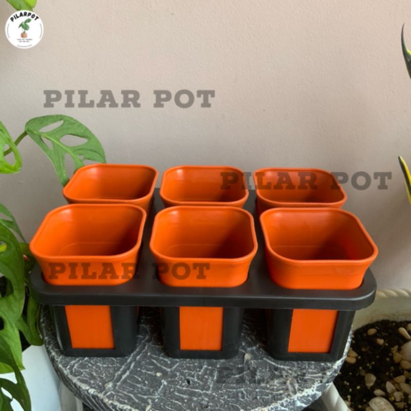 1 set Tray + pot bunga nkt kotak 8 cm MERAH BATA | tray semai bibit