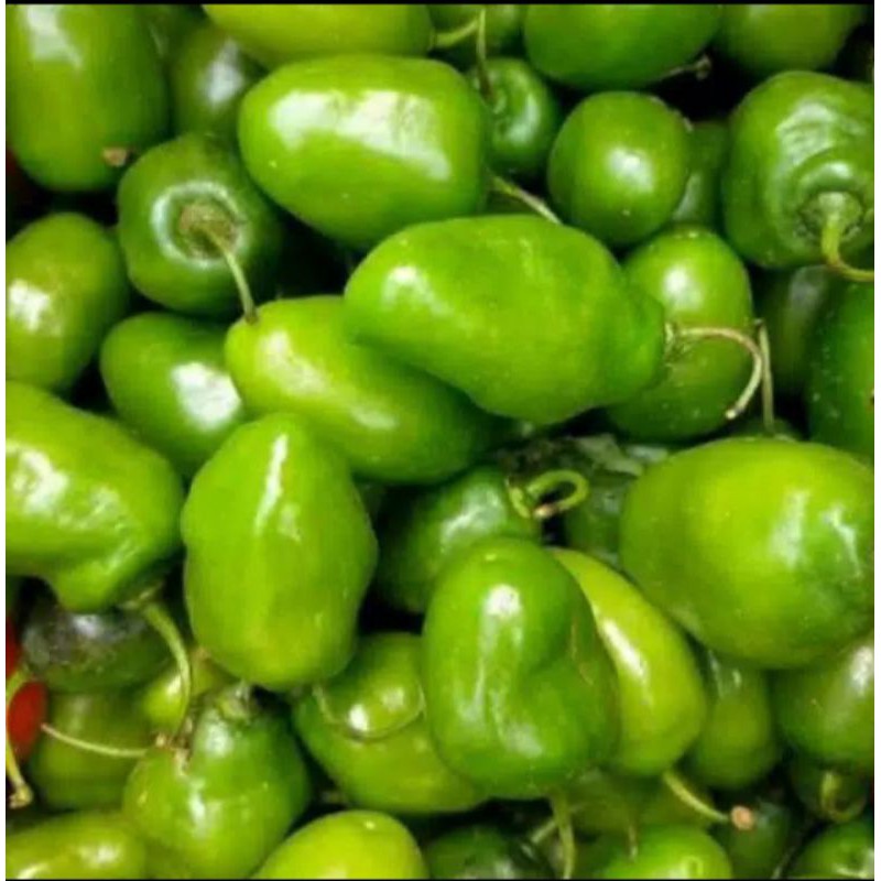 

cabe gendot 1kg fresh