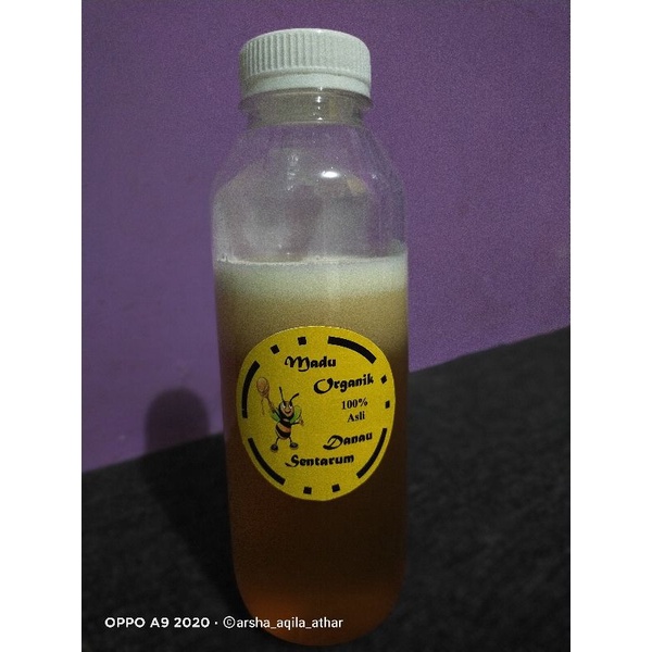 

madu organik danau sentarum