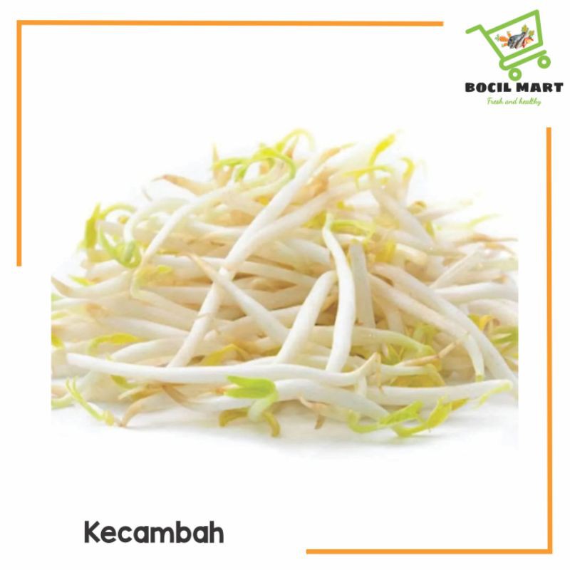 

[BOCIL MART] KECAMBAH 250GR