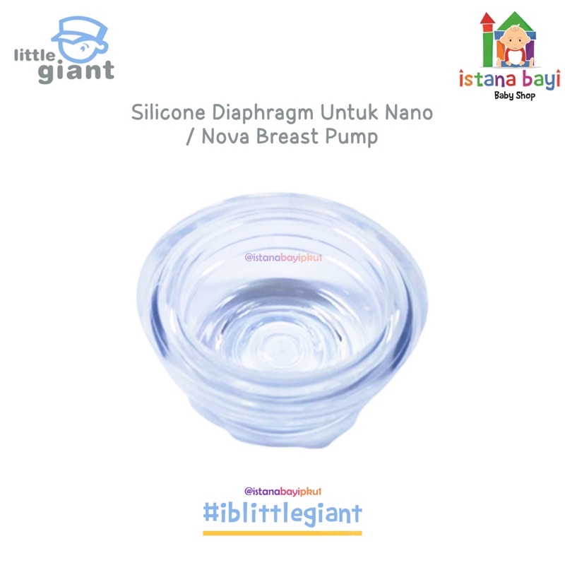 Little Giant Silicone Diaphragm Manual - Spare parts pompa asi Estilo