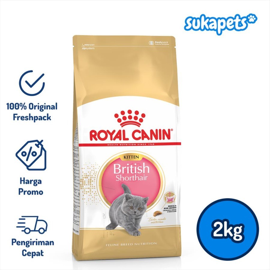 Royal Canin Kitten British Shorthair Makanan Anak Kucing Dry 2kg