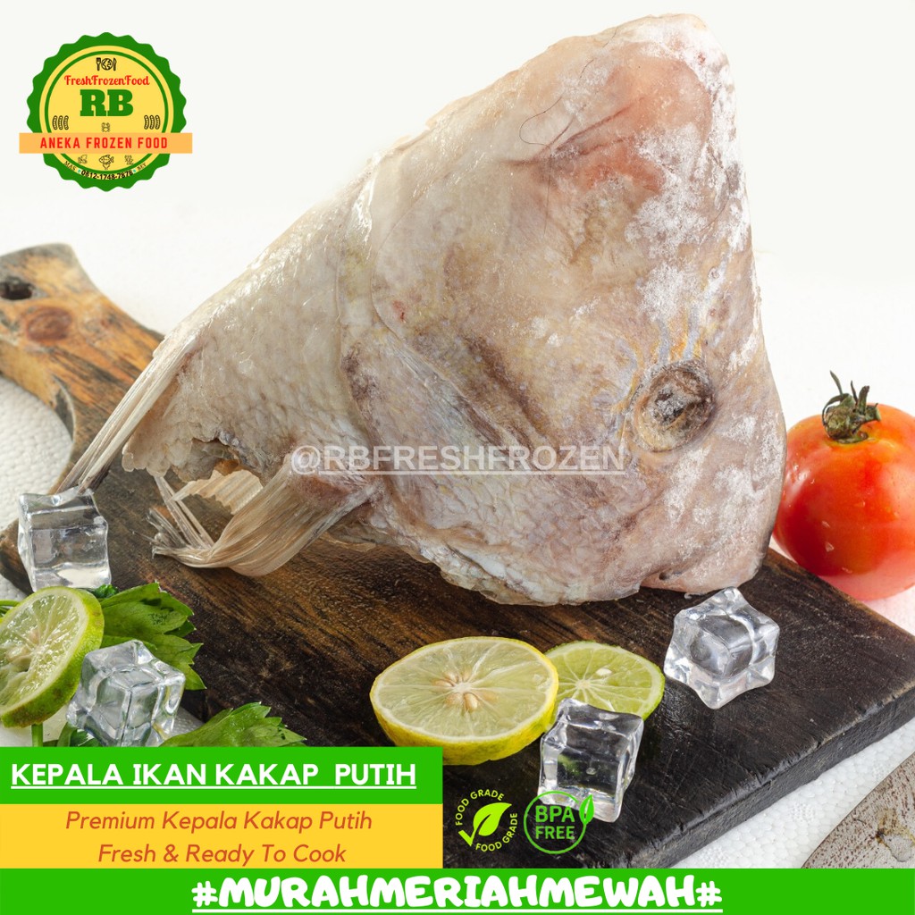 

RBFresh&Frozen - KEPALA KAKAP PUTIH SIZE JUMBO