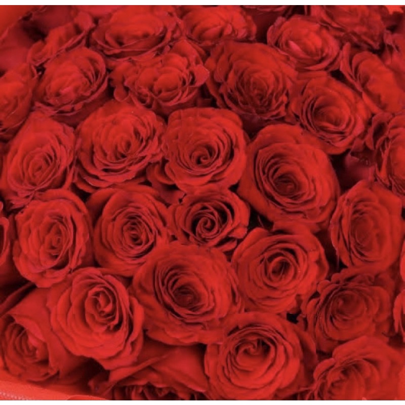 Parfum Ruangan Aroma Reed Diffuser Aesthetic Merk Josmine-ROSE