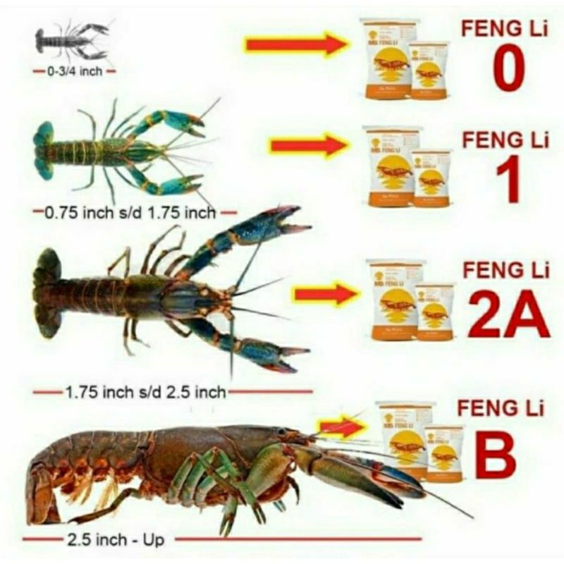 Pelet Pakan Feng Li 500g Fengli 0 1 2A 3S 3L Udang Lobster Burayak Ikan Fengly Tenggelam Sinking 500gram