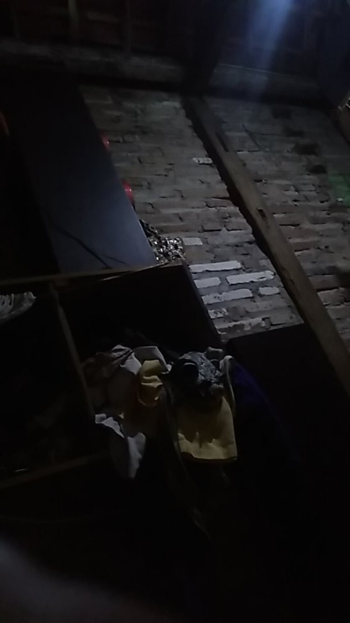 Racun Semut Miejiqing Original Ampuh