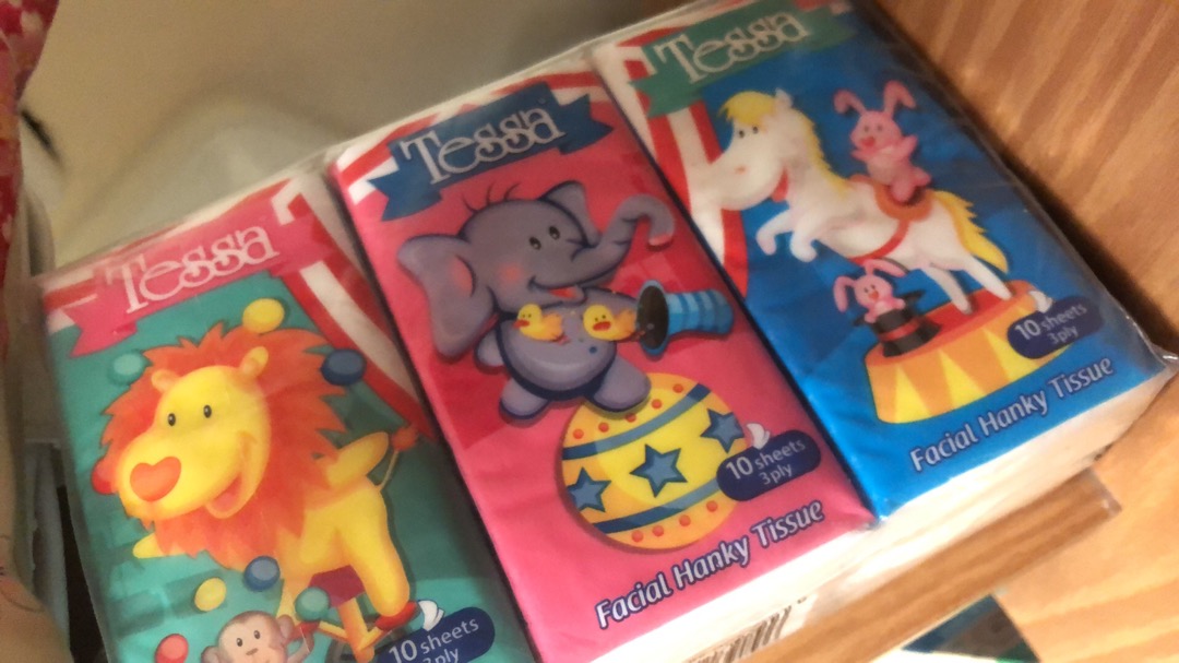 Takashi Tissue Tessa Pocket 12 Ply