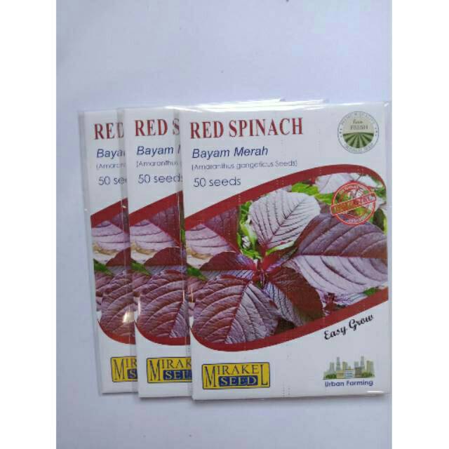 

RED SIPNACH isi 50 biji