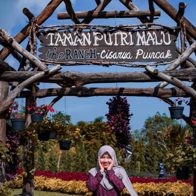 sapnah10