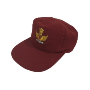 Topi SD sekolah BORDIR / Topi sekolah SD