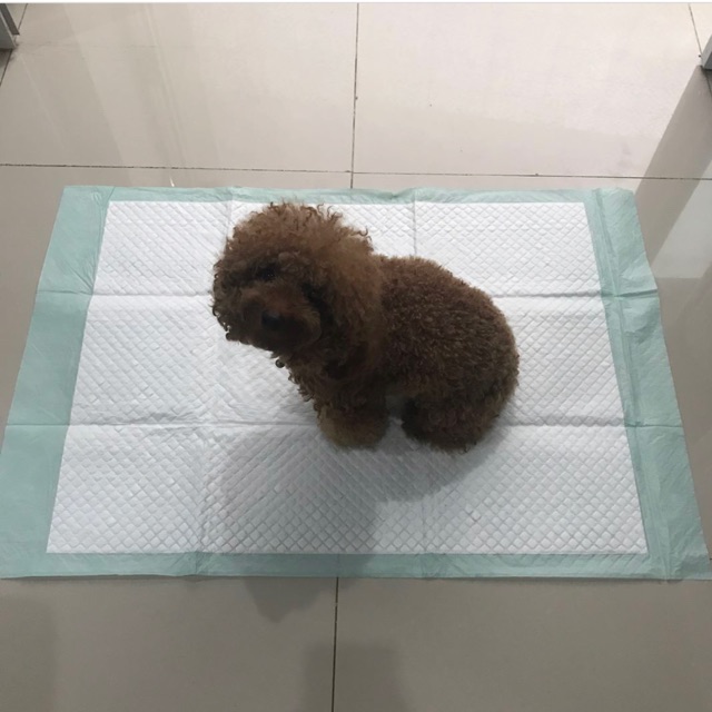 Dog pee pad isi 10