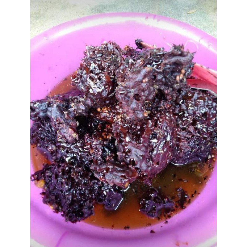

Madu Kelanceng