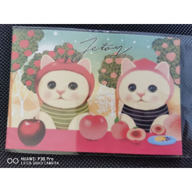 

kartu pos kucing jetoy/jetoy cat postcard