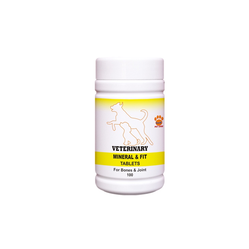 Raid all - Veterinary DOG Mineral &amp; Fit 100 Tablet / Vitamin Anjing Murah