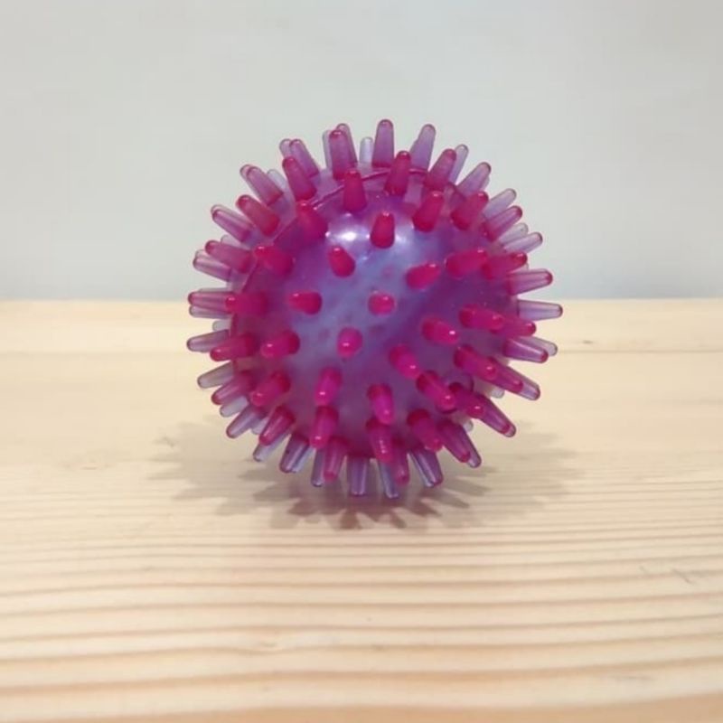 Bola Duri Karet /Bola Terapi Akupuntur