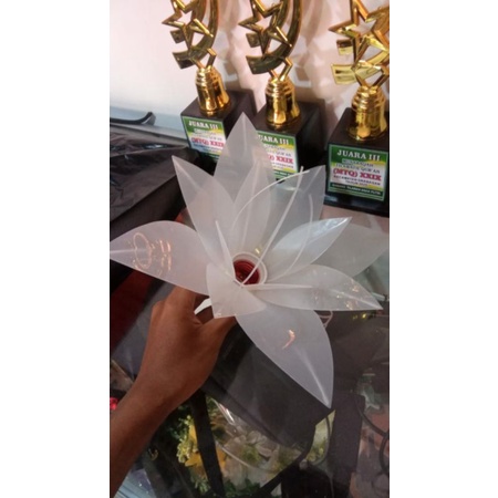 KELOPAK BUNGA DEKORASI PELAMINAN