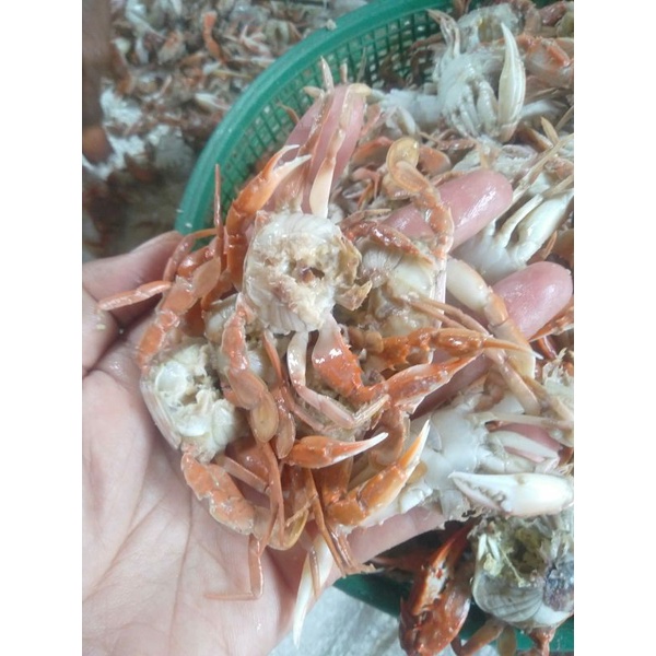 

FROZEN Bahan BABY CRAB Crispy | Per Kg