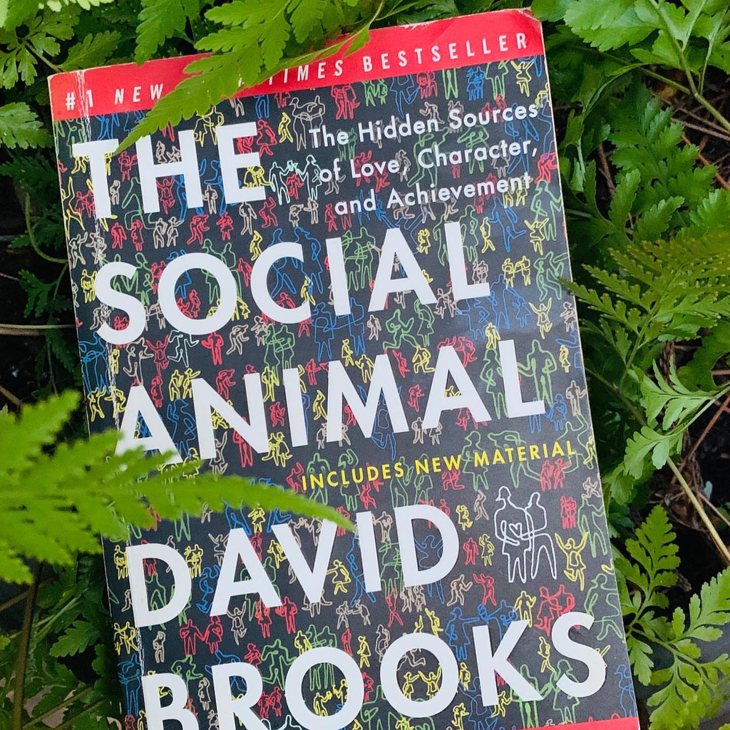 Jual The Social Animal (English) by David Brooks | Shopee Indonesia