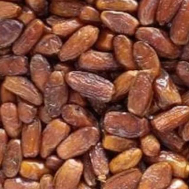 

Kurma palm fruit madu 1 kg