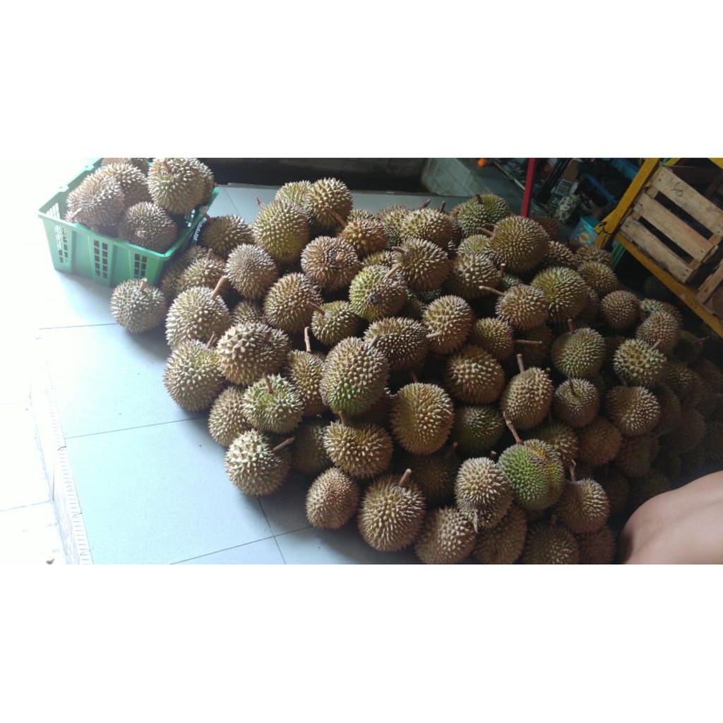 

Durian Lokal Premium