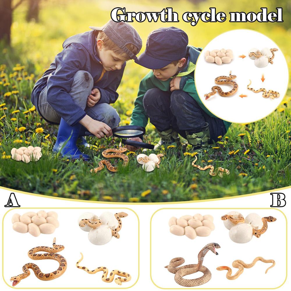 Agustina Model Manusia Primitif Bahan Mengajar Miniatur Hadiah Anak Simulasi Hewan Action Figure Figurine Rattlesnake Mainan Edukasi Anak Simulasi Evolus Manusia