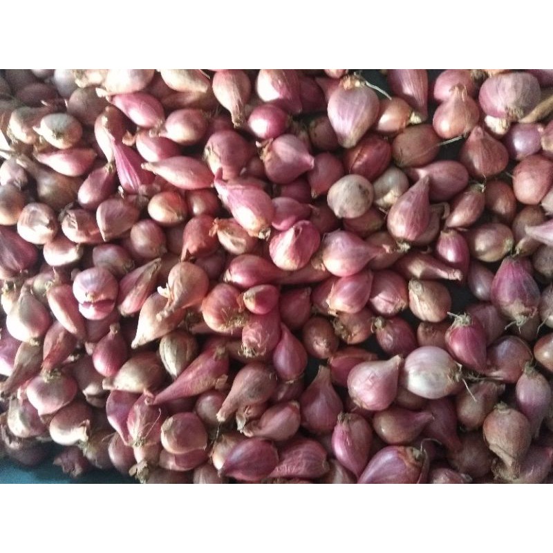 

Bawang Merah / Bumbu Dapur / Brambang