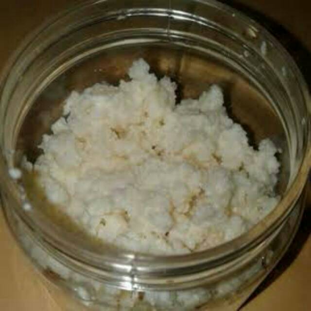 

Bibit Kefir 50 gram