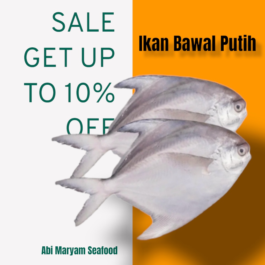 

Ikan Bawal Putih laut Fresh Berkualitas 1kg