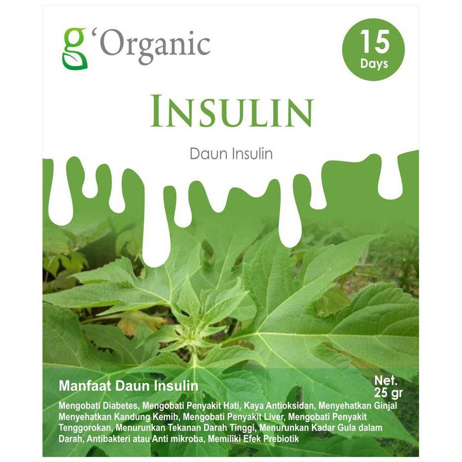 

Daun INSULIN Kering Herbal Diabetes & Hipertensi - G Organic - 25 Gram - Untuk 15 Days - Kemasan