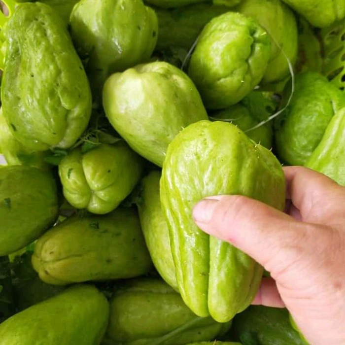 

New Sayur labu siam segar netto 500 gram original terjangkau