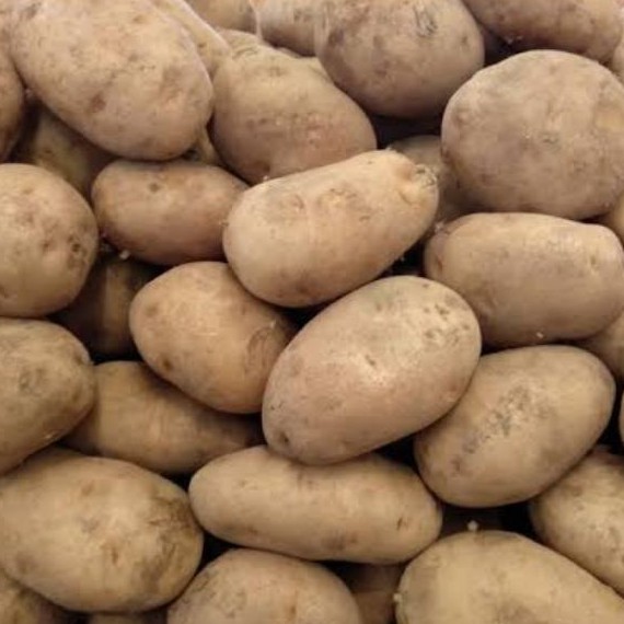 

kentang dieng 500gr (isi 3-4)