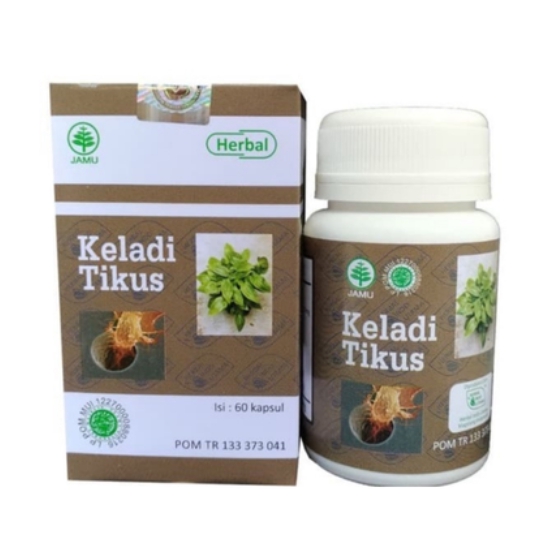 Kapsul Herbal Kanker Keladi Tikus Hiu Original Herbal Indo Utama Shopee Indonesia