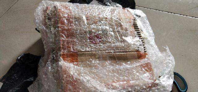 Alat Pembersih Sisik Daging Ikan Fish Scale Cleaner Kitchen Chef Tools Peralatan Dapur Masak Plastik