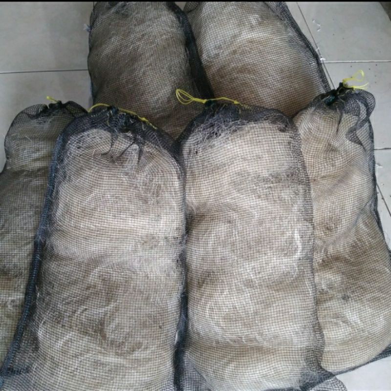 Jaring nelayan 500 gr + Waring media filter (pengganti japmat)