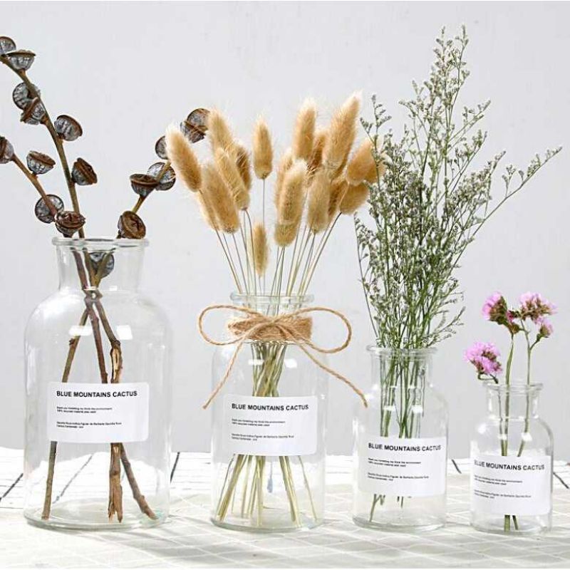 VAS BUNGA BOTOL KACA SCANDINAVIAN BENING 500ML / VAS AESTHETIC BUNGA KERING / ARTIFICIAL DRIED FLOWER / VAS KOREA MINIMALIS