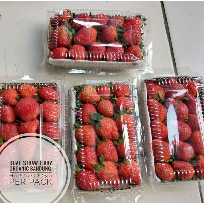 

STRAWBERRY ORGANIC BANDUNG