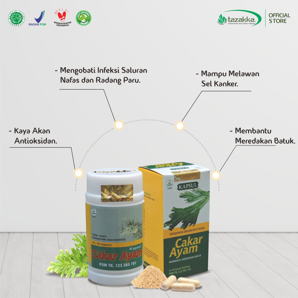 Obat Batu Berdahak daun Cakar ayam dengan Isi botol 60 kapsul HALAL BPOM | Original Produk