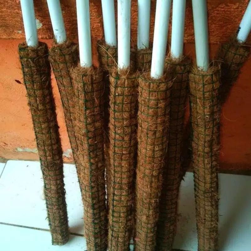 turus penyangga tanaman ( 60 cm ) / turus penyangga