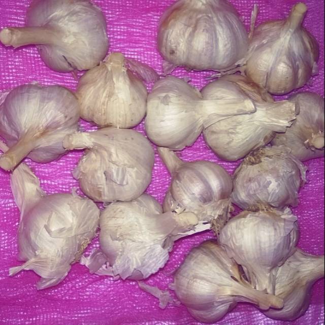 

Bawang Putih Kating 1 KG