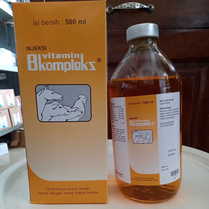 Vitamin B Kompleks