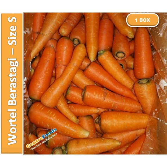

Wortel Berastagi | Size S - Kecil [ Harga Per BOX ]