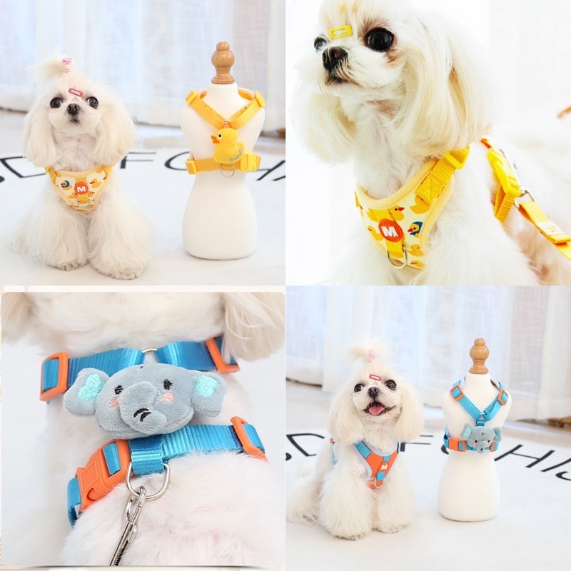 Moebi korea animal buddy harness set