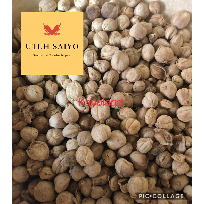 

Produk Terbaik - Kapol / Kapulaga Lokal / Rempah Berkualitas / 1Kg