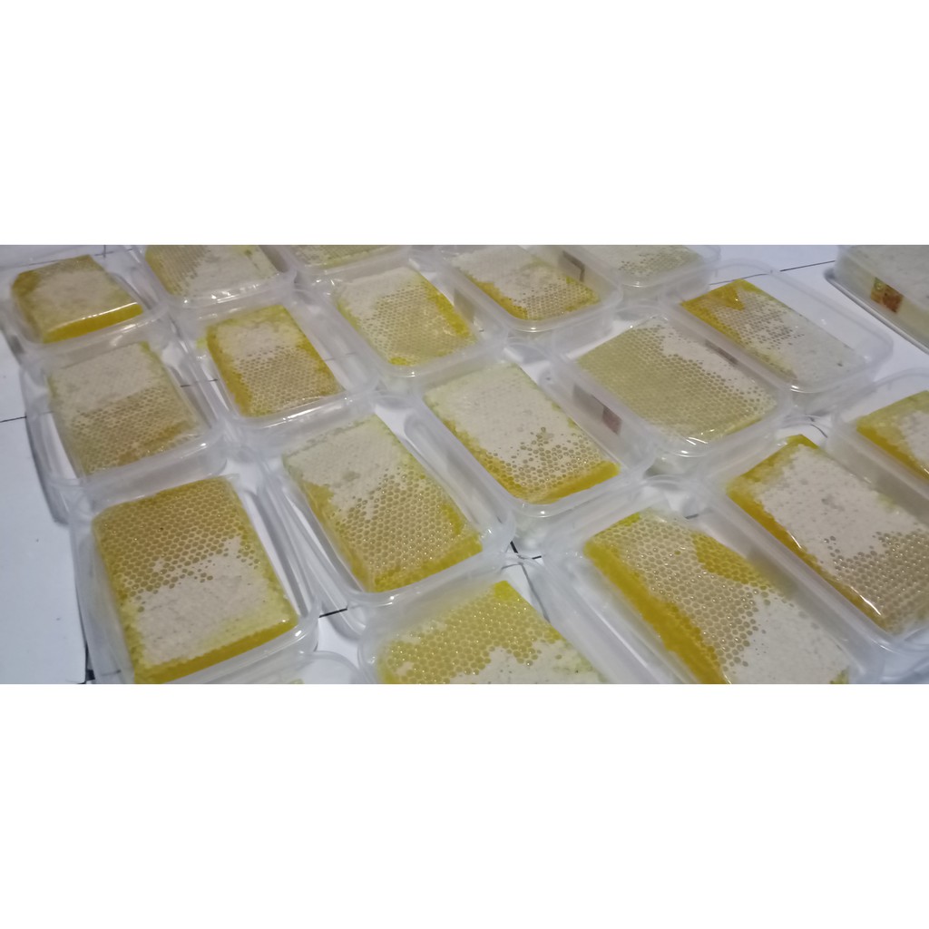 COD sarang madu apis melifera madu murni madu asli madu sarang gratis ongkir netto 500 gram
