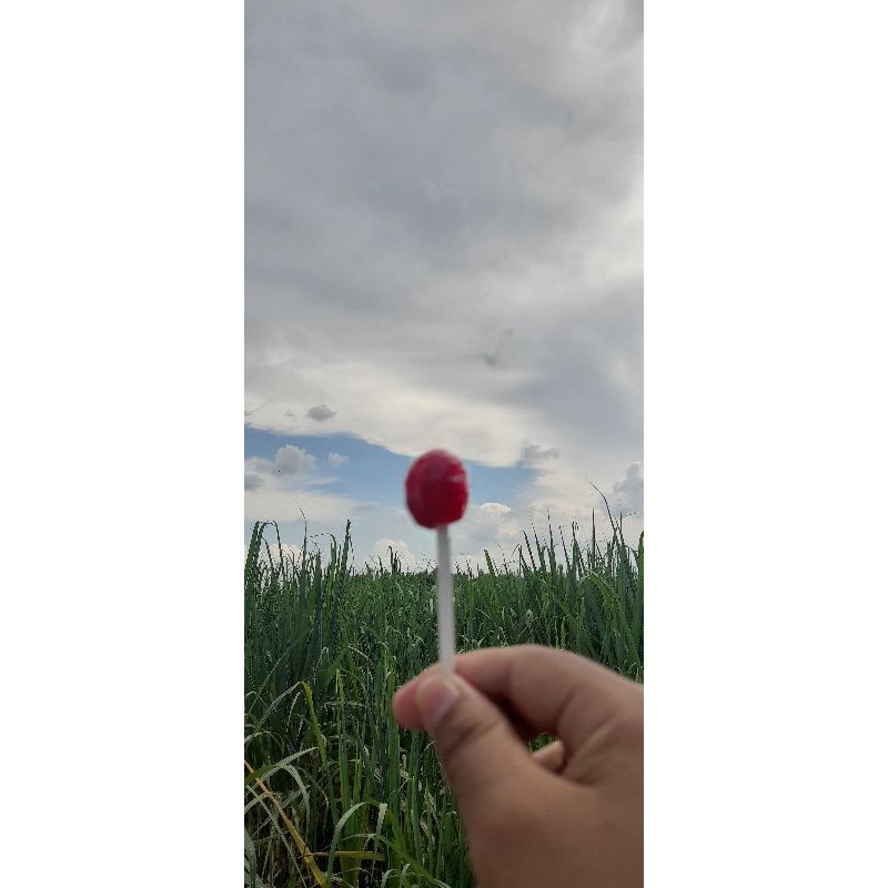 

permen sisa tahun lalu