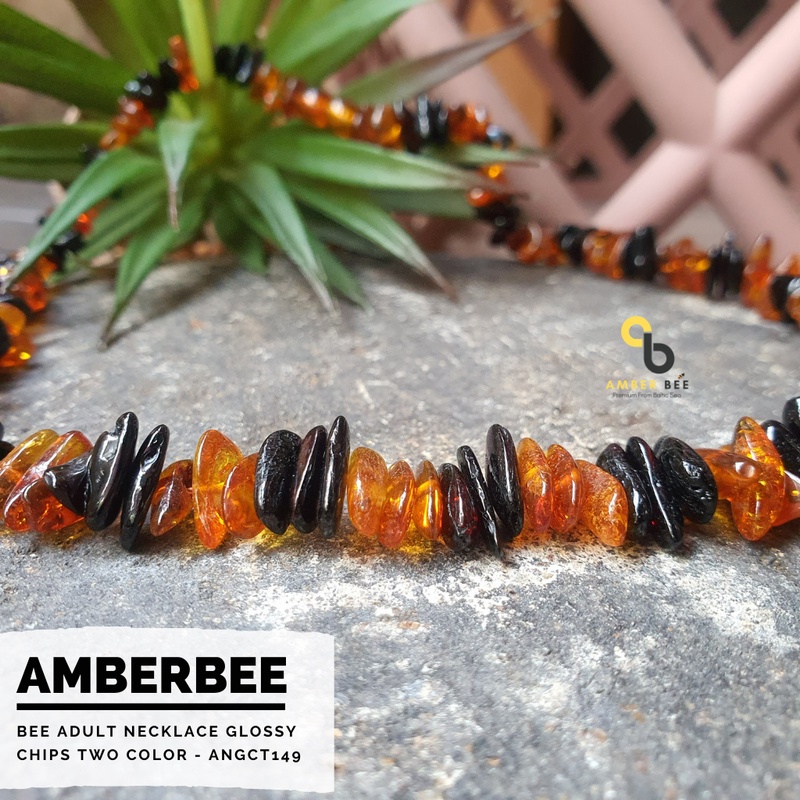 Kalung Amber Dewasa Premium Glossy Chips ANGCM149 By Amber Bee