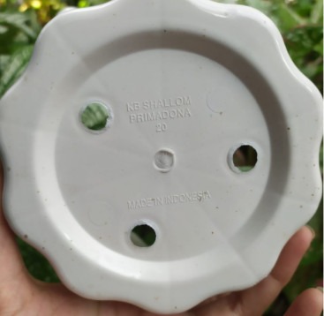 Pot bunga primadona 20 putih