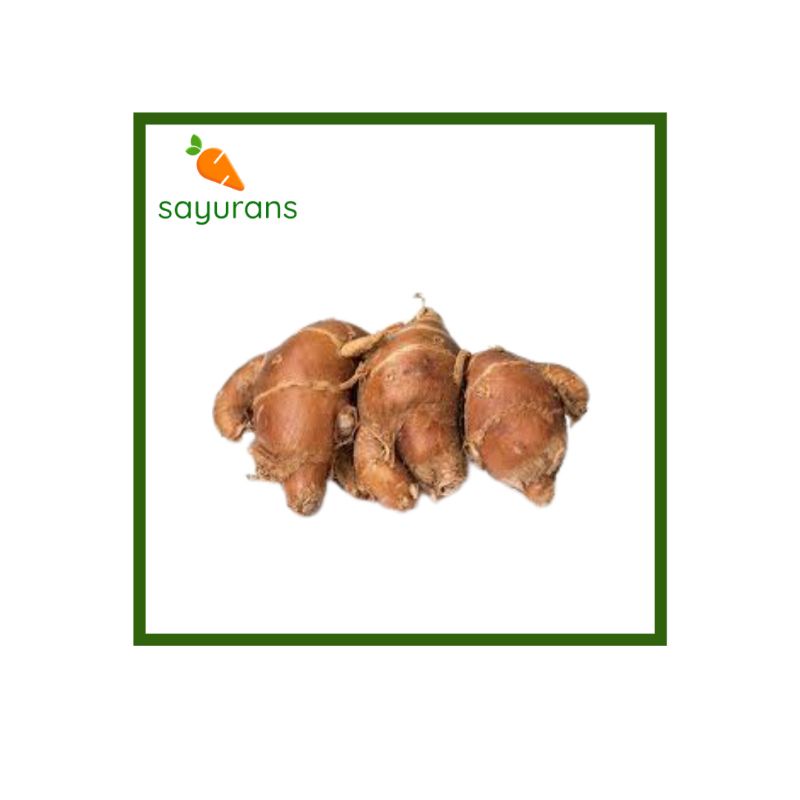 

SAYURANS Kencur 500 Gram
