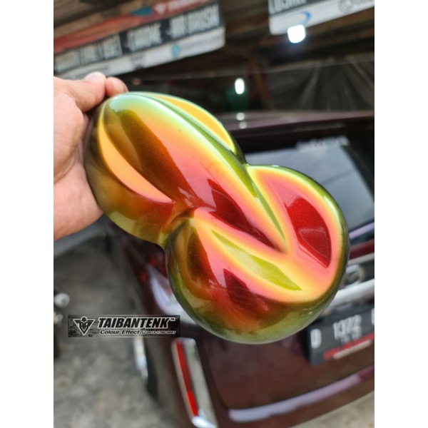 cat bunglon TAIBANTENK - TWEELEVE